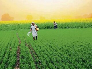 Pradhan Mantri Annadata Aay SanraksHan Abhiyan (PM AASHA)