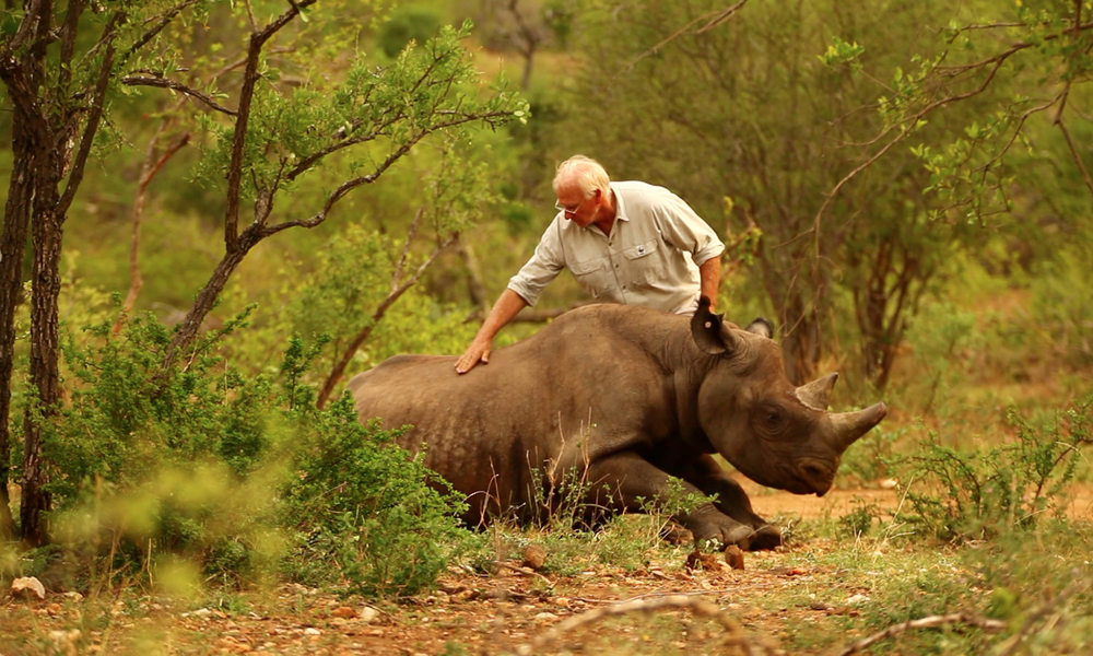 Ways To Help Rhinos