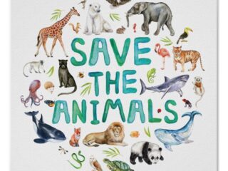 SAVE THE ANIMALS