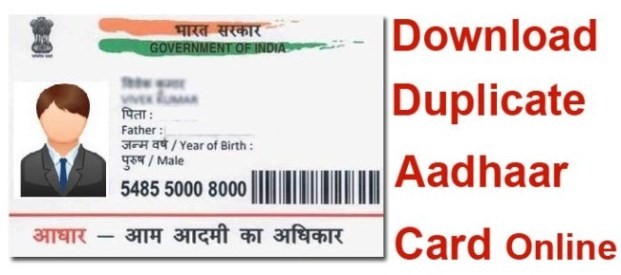 How do I get a copy of my Aadhar Card online?