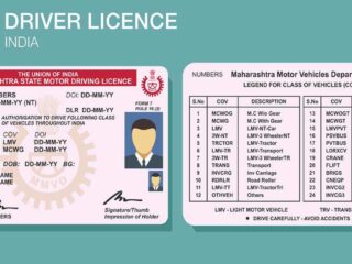 Driver's License Online