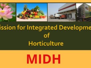 Mission for Integrated Development of Horticulture (MIDH)