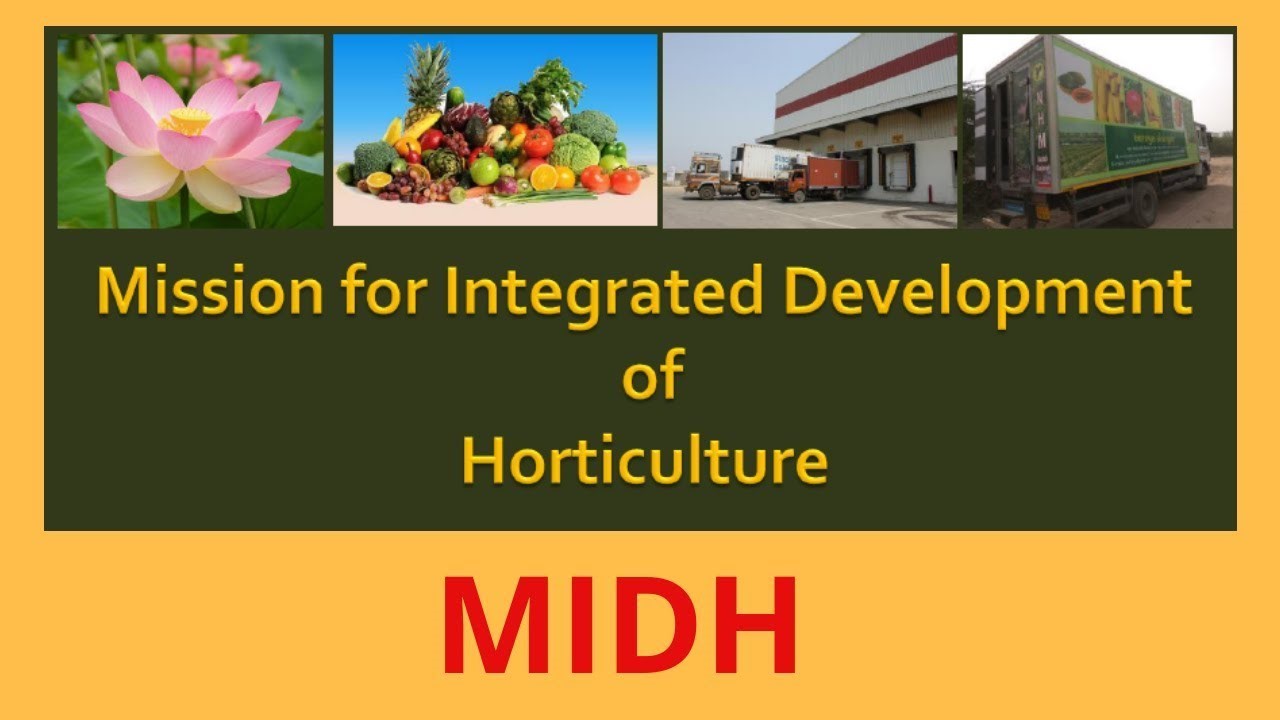 Mission for Integrated Development of Horticulture (MIDH)