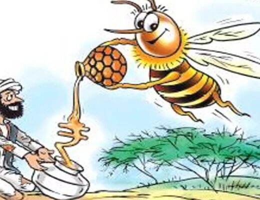 National Beekeeping & Honey Mission (NBHM)